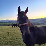 Ponad Gorami * Гличарув