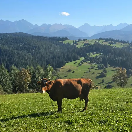Ponad Górami Domek alpejski *