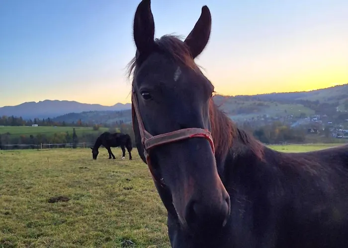 Ponad Górami * Gliczarów