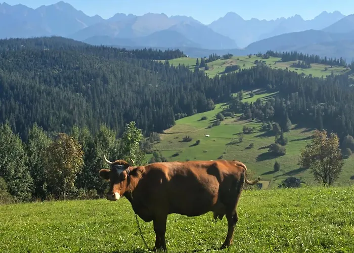 Ponad Górami Domek alpejski *